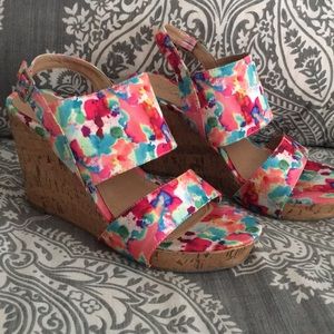 Colorful Wedges